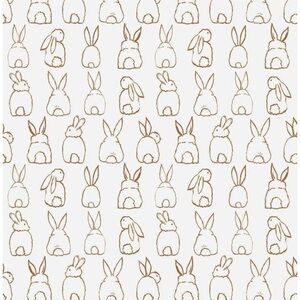 Meet your Posher, Lindsy